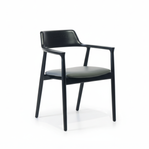 DREAM CHAIR